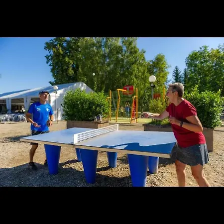 Mobil-home L'hirondelle, Climatise, Proche Europapark 营地 Boofzheim